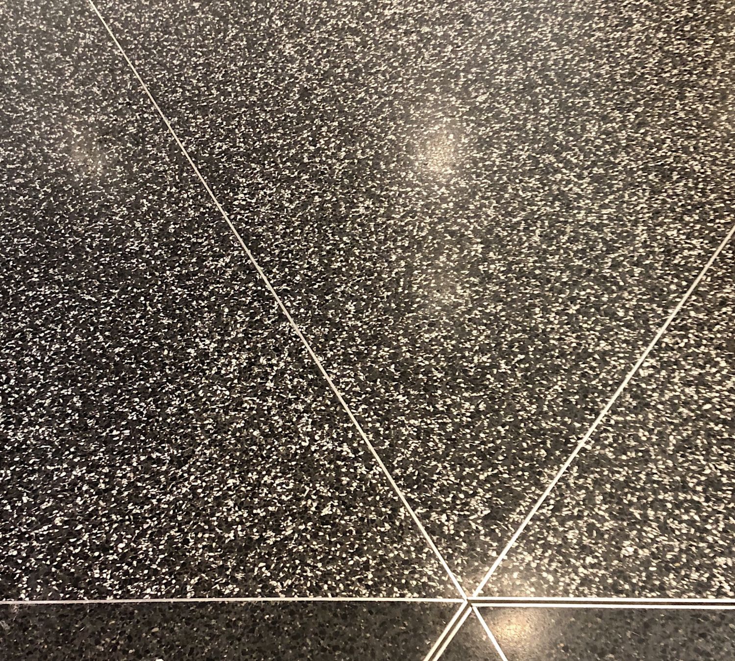 Terrazzo Floor Restoration in Polk